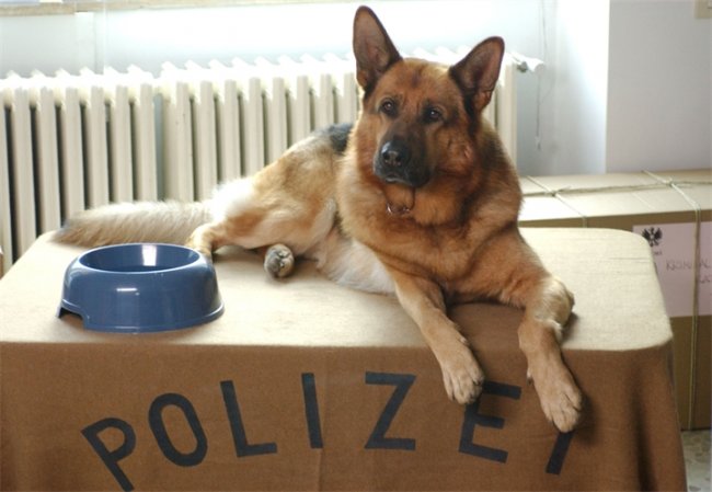 Комиссар Рекс - Трейлеры