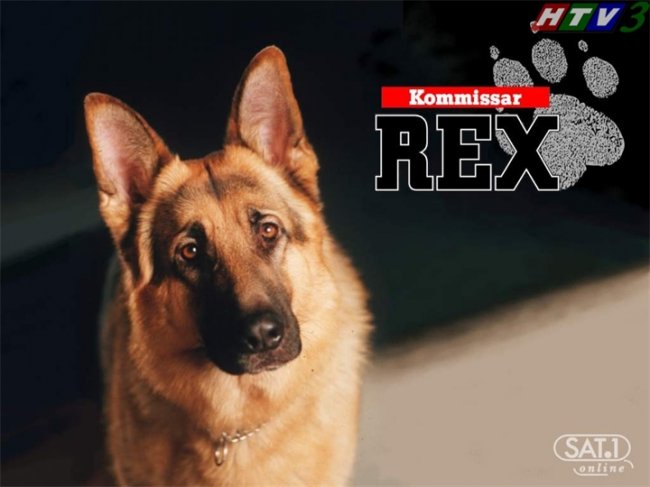 Комиссар Рекс - Трейлеры