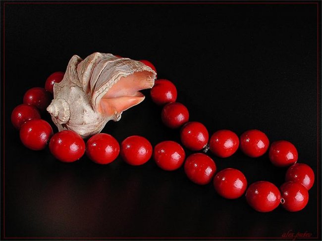 Красный жемчуг любви - Трейлеры