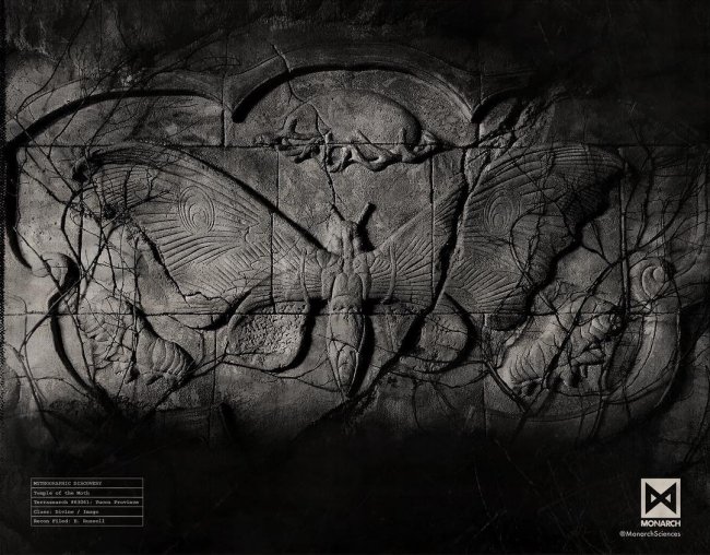 Полет Мотры