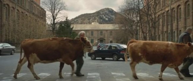 Белый Бог / Feher isten (2014) - Трейлеры