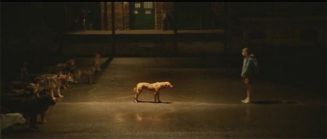 Белый Бог / Feher isten (2014) - Трейлеры