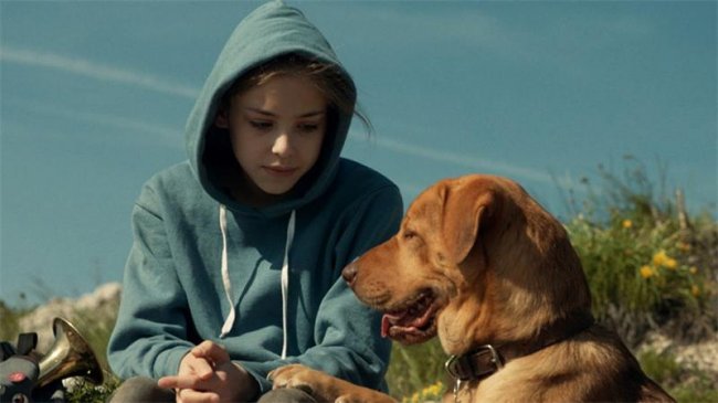 Белый Бог / Feher isten (2014) - Трейлеры