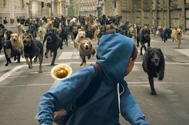 Белый Бог / Feher isten (2014) - Трейлеры