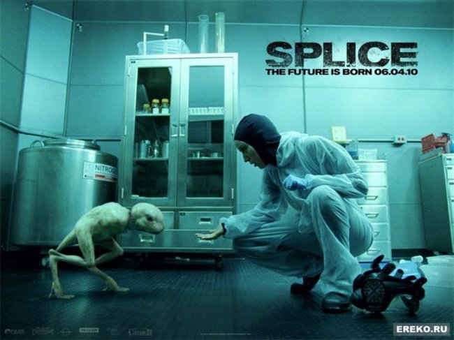 «Химера», фильм, 2010 г. - Трейлеры