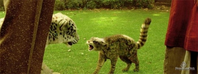 Фильм «Золотой компас» - Трейлеры