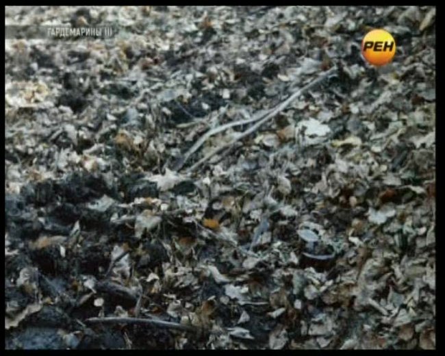 Гардемарины — III - Трейлеры