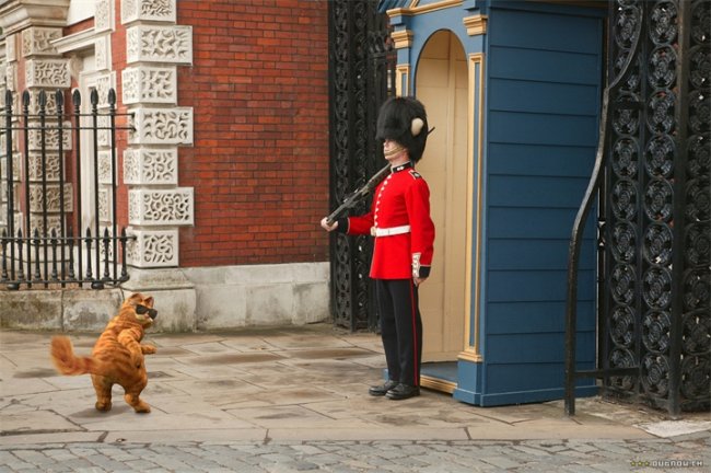 «Гарфилд 2: История двух кошечек» - Трейлеры