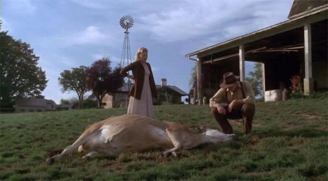 Долина света (2007) - Трейлеры