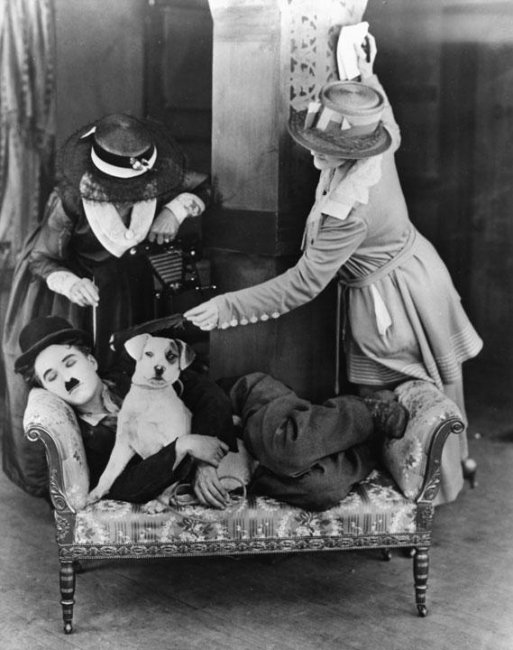 Собачья жизнь (1918) - Трейлеры