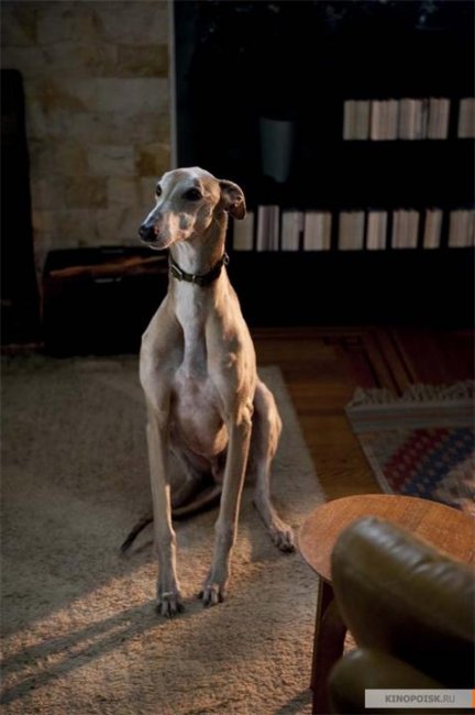 Жизнь прекрасна(2011) - Трейлеры