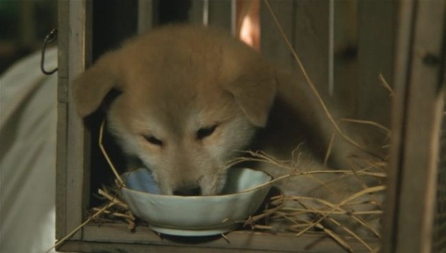 История Хатико - Трейлеры