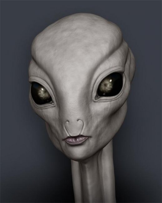 Тон Ви- Изящная и утонченная - Трейлеры