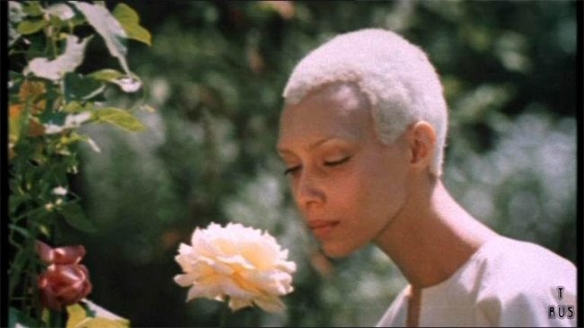 «Через тернии к звёздам» (фильм, 1980 г.) - Трейлеры