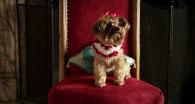 Выдача багажа / Baggage Claim (2013) HDRip - Трейлеры