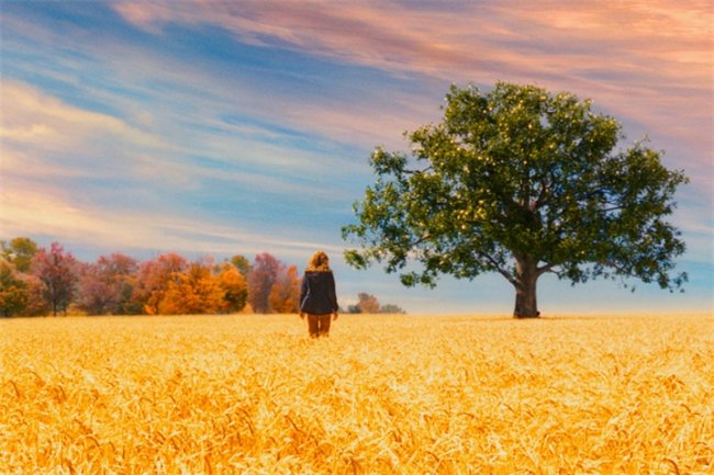 фильм «Милые кости» (The Lovely Bones) - Трейлеры