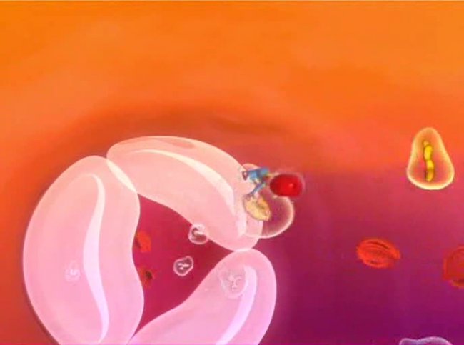 Невероятные приключения в теле человека (2004) - Трейлеры