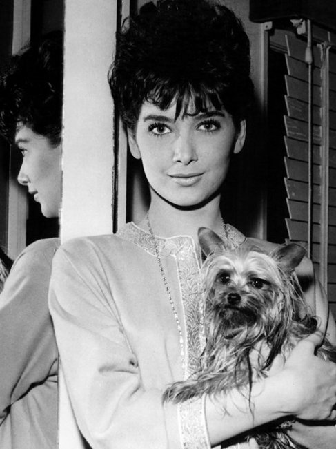 Сюзанн Плешетт - Биографии