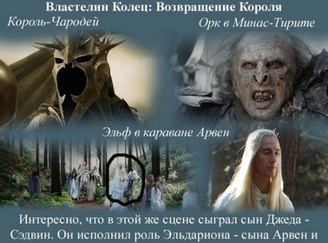 Актер Джед Брофи. Все видели, но никто не знает - Биографии