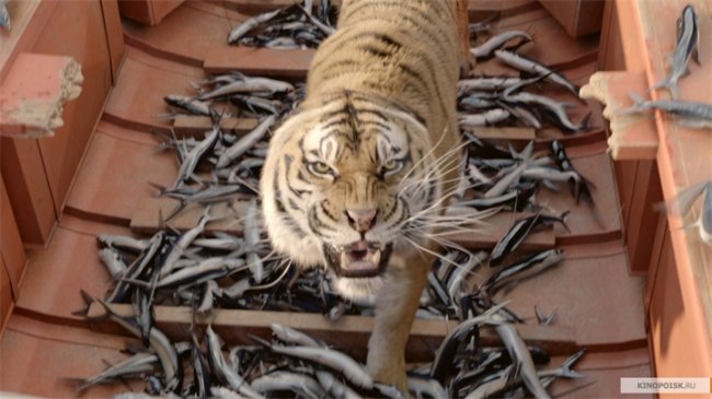 Жизнь Пи (2012) - Трейлеры