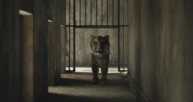 Жизнь Пи.(Life of Pi) - Трейлеры