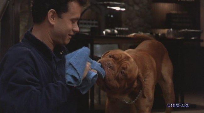 Тернер и хуч - Трейлеры