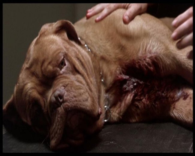 Тернер и хуч - Трейлеры