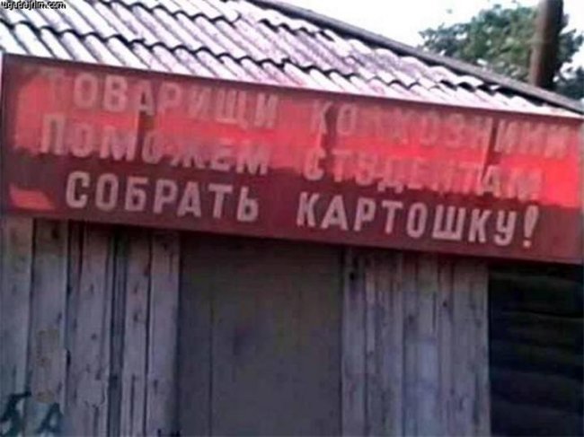 «Баламут», фильм, 1978 г. - Трейлеры