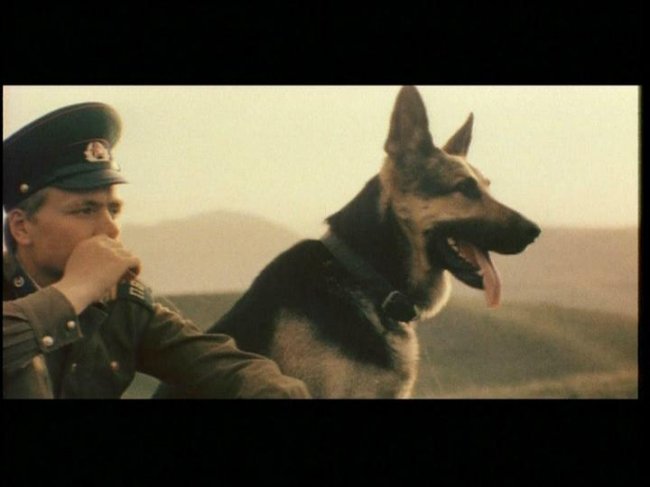 «Пограничный пёс Алый», фильм, 1979 г. - Трейлеры
