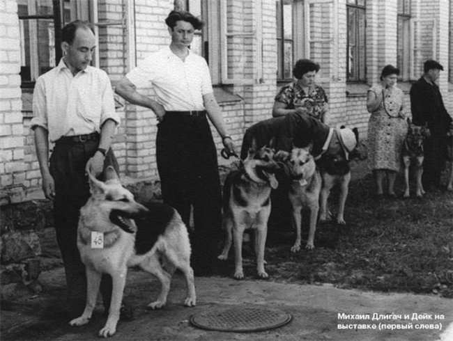 Ко мне, Мухтар! (1964) - Трейлеры