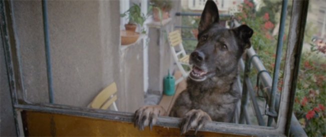 Фильм "С любовью не поспоришь" / Laska je laska (2012) - Трейлеры