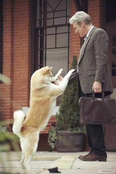 « Хатико: Самый верный друг » - Трейлеры