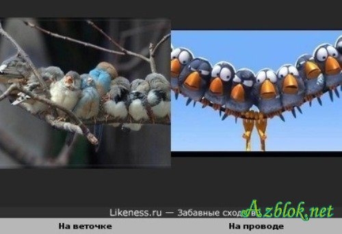 О птичках / For the Birds - Трейлеры О птичках / For the Birds - Трейлеры