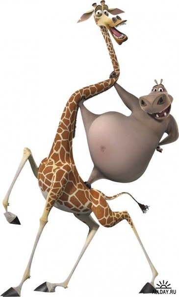 Глория - героиня мультфильма "Мадагаскар" - Трейлеры