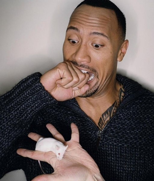 Смешные фотографии с Дуэйном Джонсоном - Биографии