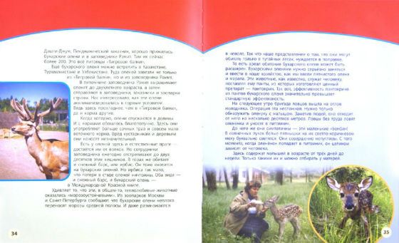 Биография Николая Дроздова - Российские актеры.