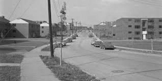 Биография Дональда Трампа - Режиссеры.