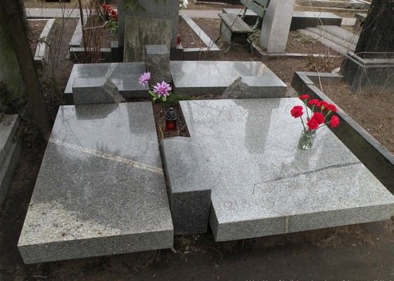 Биография Петра Алейникова - Российские актеры.