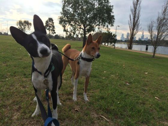 Биография Гая Пирса - Российские актеры.