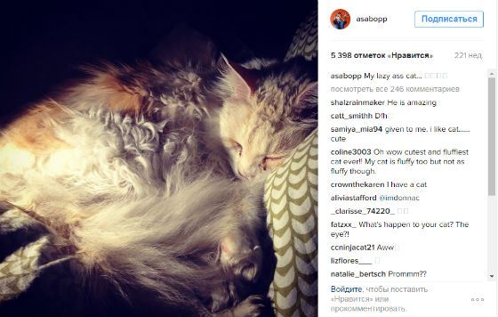 Биография Эйсы Баттерфилда - Режиссеры.