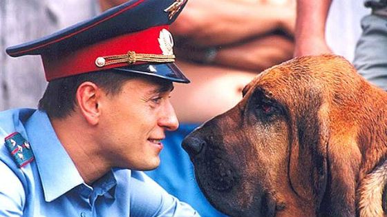 Биография Сергея Безрукова - Иностранные актеры.