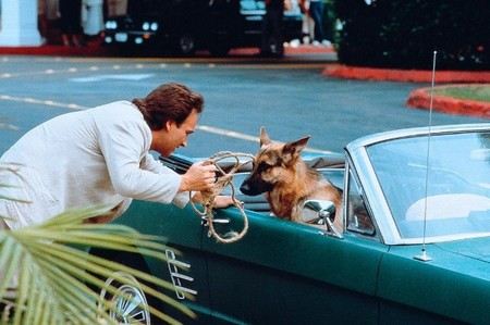 Биография Джеймса Белуши - Иностранные актеры.