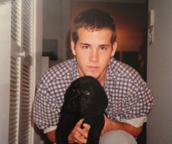 Райан Рейнольдс (Ryan Reynolds) фото актера, биография, рост вес 2017 - Иностранные актеры.