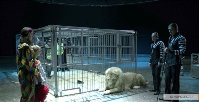 12 месяцев - Трейлеры