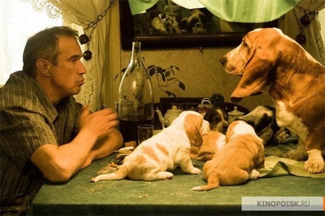 9 месяцев (2006) - Трейлеры