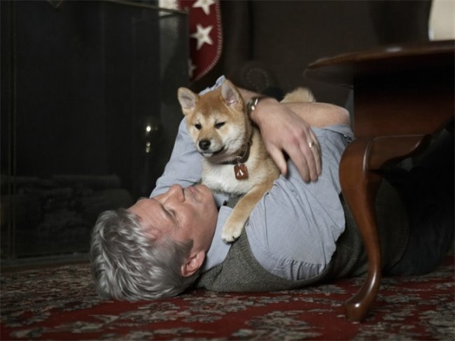 « Хатико: Самый верный друг » - Трейлеры