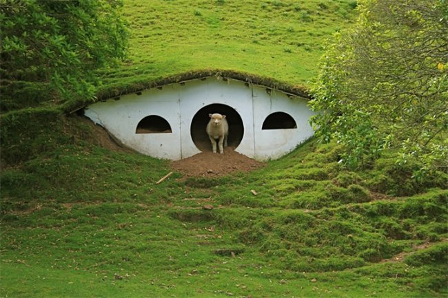 Деревня Хоббитов - Трейлеры