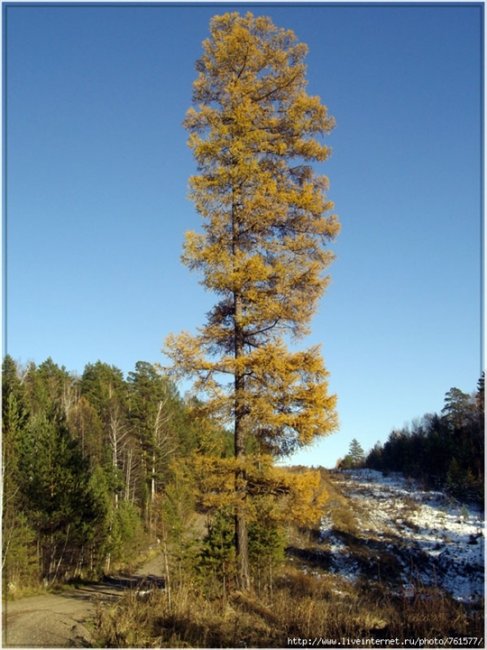 Граница. Таёжный роман - Трейлеры