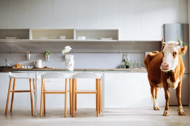 Сформирована программа 5-го фестиваля короткометражного кино «Короче»