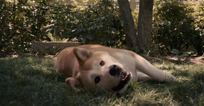 Хатико :самый верный пес - Трейлеры